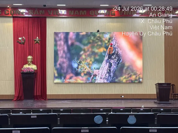 Hình ảnh thi công thực tế
