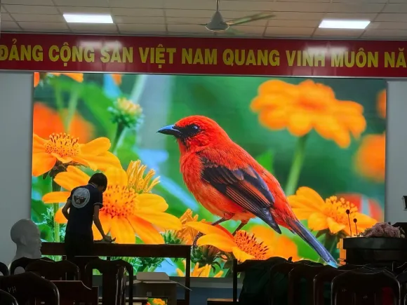 Hình ảnh thi công thực tế