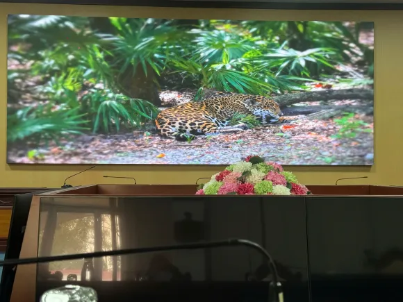 Hình ảnh thi công thực tế